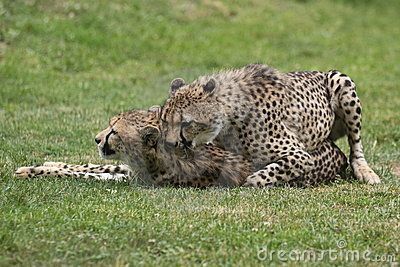 130561606rjb5.jpg